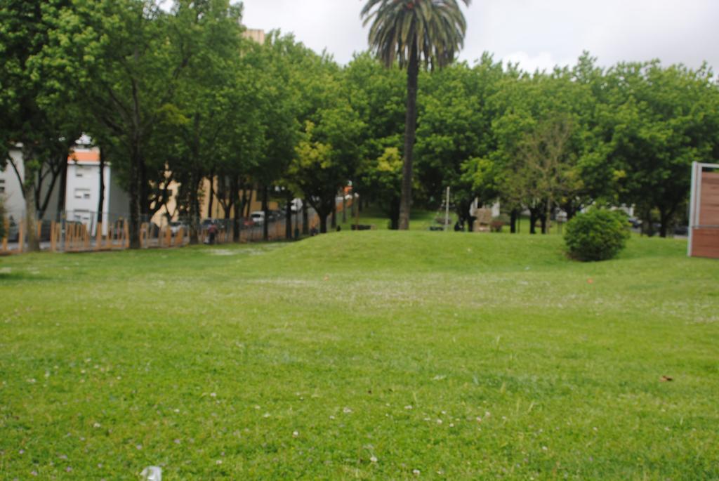 Magalhaes Apartments Porto Dış mekan fotoğraf
